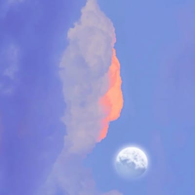 انضمام الحق avatar