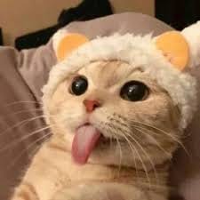 آصف علی avatar